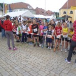 Burgenlauf Wernberg 2014