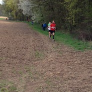 MR-Lauf 2015
