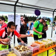 Lamer-Winkel-Ultratrail-08