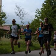 Detag_Strassenlauf_2016_Lauf4_0030