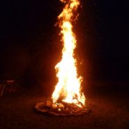 TSV_Grillfest_2016_0019