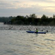 Challenge_Regensburg_2016_Swim_3