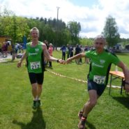 Landkreislauf Schwandorf 2017