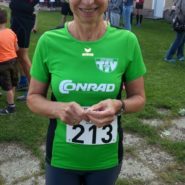 Landkreislauf Schwandorf 2017