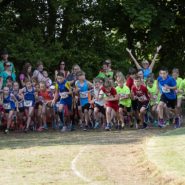 Straßenlauf Wernberg 2017