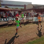 Straßenlauf Wernberg 2017