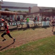 Straßenlauf Wernberg 2017