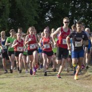 Straßenlauf Wernberg 2017