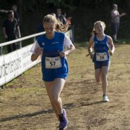 Straßenlauf Wernberg 2017