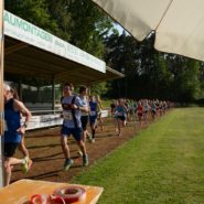 Straßenlauf Wernberg 2017