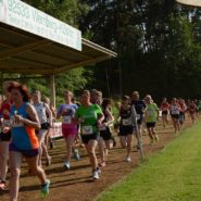 Straßenlauf Wernberg 2017