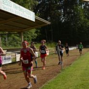 Straßenlauf Wernberg 2017