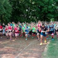 Straßenlauf Wernberg 2017