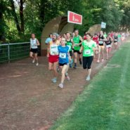 Straßenlauf Wernberg 2017