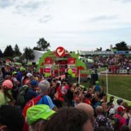 Challenge Roth 2017