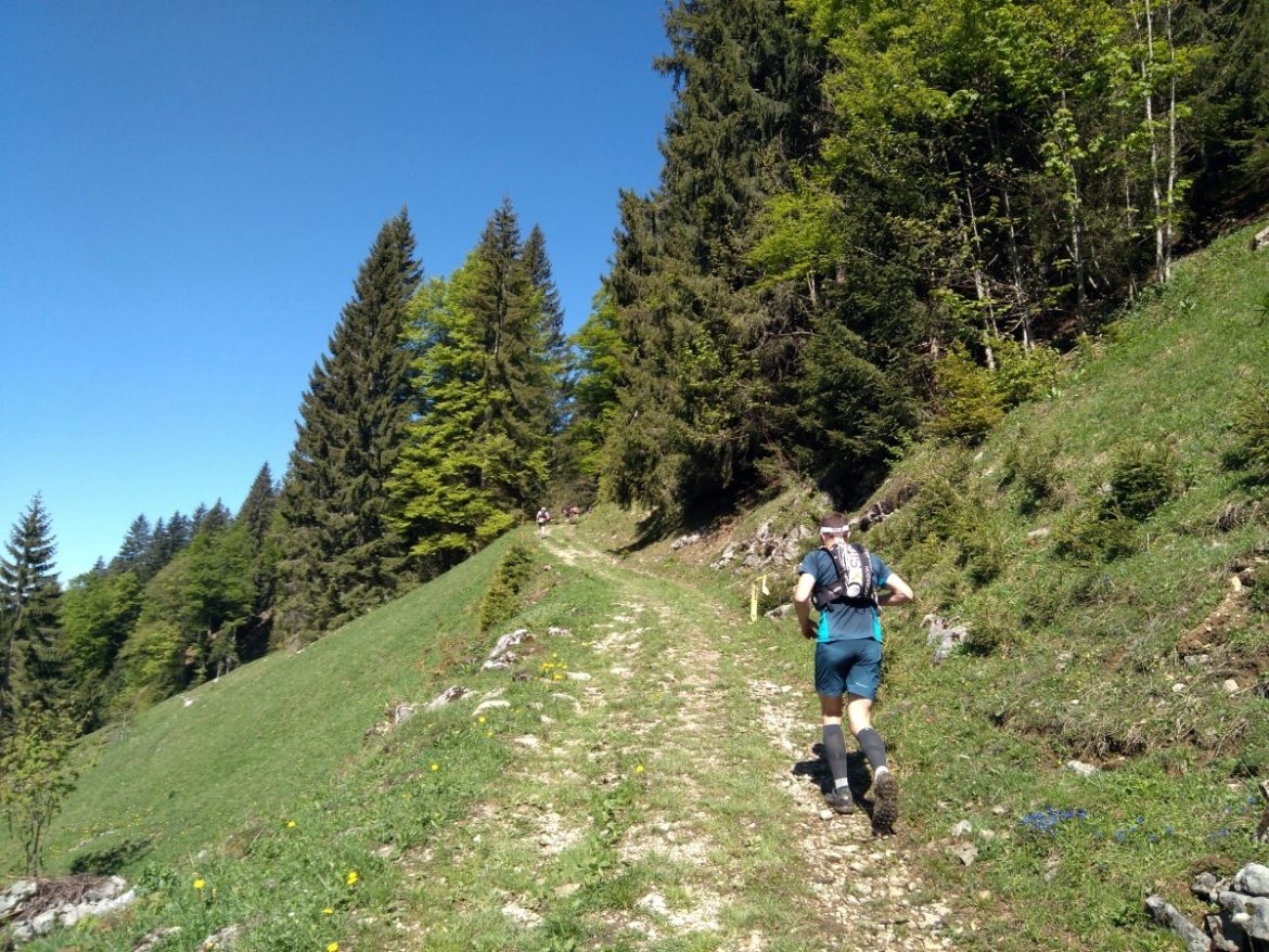 Singletrails bregenzerwald